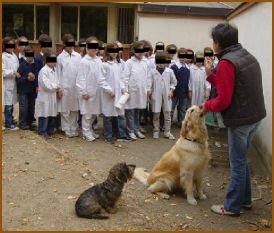 Puppy class - Corso cuccioli